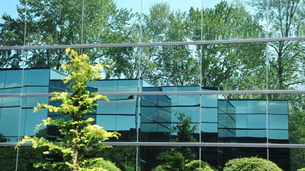 A reflection of vegetation on a glass building